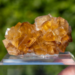 Fluorite Bergmännisch Glück Frohnau