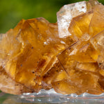 Fluorite Bergmännisch Glück Frohnau