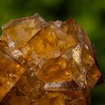 Fluorite Bergmännisch Glück Frohnau