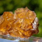 Fluorite Bergmännisch Glück Frohnau