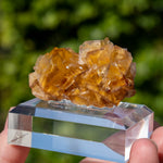 Fluorite Bergmännisch Glück Frohnau