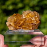 Fluorite Bergmännisch Glück Frohnau