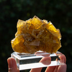 fluorite yellow blue Dörfel Germany