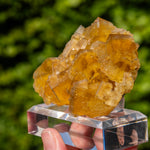 fluorite yellow blue Dörfel Germany