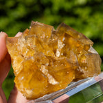 fluorite yellow blue Dörfel Germany
