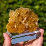 fluorite yellow blue Dörfel Germany
