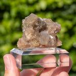 Fluoriet uit Frohnau, Duitsland #14