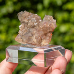 Fluoriet uit Frohnau, Duitsland #14
