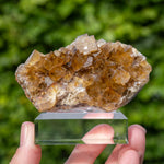 fluorite Frohnau Annaberg-Buchholz 