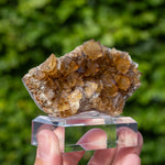 fluorite Frohnau Annaberg-Buchholz 