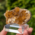 fluorite Frohnau Annaberg-Buchholz 