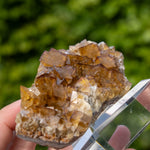 fluorite Frohnau Annaberg-Buchholz 
