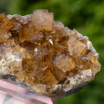 fluorite Frohnau Annaberg-Buchholz 
