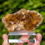 fluorite Frohnau Annaberg-Buchholz 