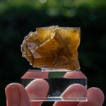 fluorite Dörfel frohnau germany
