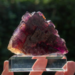 fluorite wölsendorf marienschacht Germany