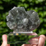 Fluoriet uit Niederschlag, Duitsland #3