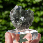 Fluoriet uit Niederschlag, Duitsland #3