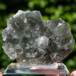 Fluoriet uit Niederschlag, Duitsland #3