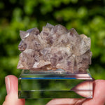 fluorite Breitenbrunn Saxony Germany