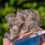 fluorite Breitenbrunn Saxony Germany