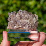 fluorite Breitenbrunn Saxony Germany