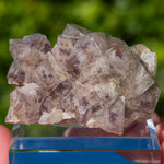fluorite Breitenbrunn Saxony Germany