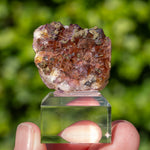 fluorite Sauberg Ehrenfriedersdorf Germany