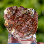 fluorite Sauberg Ehrenfriedersdorf Germany