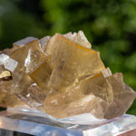 Fluoriet uit Niederschlag, Duitsland #4
