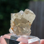 fluorite Niederschlag Bärenstein Germany