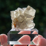 fluorite Niederschlag Bärenstein Germany