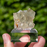 fluorite Niederschlag Bärenstein Germany