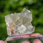 fluorite Niederschlag Bärenstein Germany