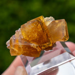 fluorite Frohnau Saxony Germany