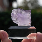 Fluoriet uit Berbes #15