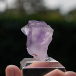 Fluoriet uit Berbes #15