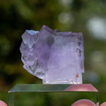 Fluoriet uit Berbes #15