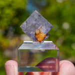 fluorite Valzergues France