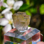 fluoriet valzergues frankrijk