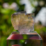 fluoriet valzergues frankrijk
