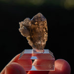 rookkwarts Gastenhorn Zwitserland