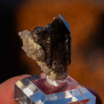 rookkwarts Gastenhorn Zwitserland