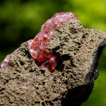 rhodochrosiet potosi mexico