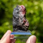 rhodochrosiet potosi mexico
