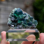 fluoriet pocket 42 weardale UK
