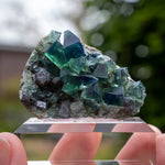 fluoriet pocket 42 weardale UK