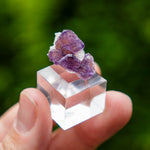 Fluoriet uit Fujian #3