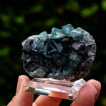 Fluoriet, Northern Light Pocket, Weardale, UK #2