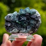 Fluoriet, Northern Light Pocket, Weardale, UK #2